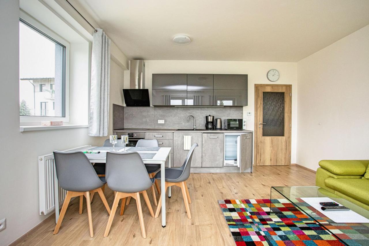 Green Apartment Klinovec By Mountain Ways Loučná pod Klínovcem المظهر الخارجي الصورة
